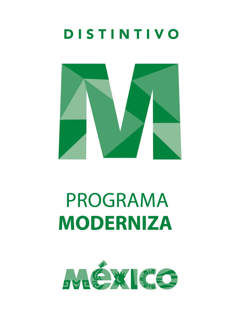 Moderniza